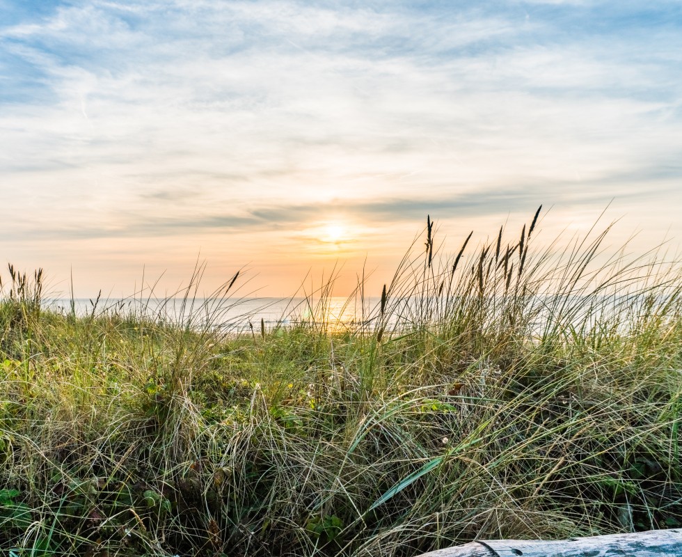 Hotel in Egmond - Strand duinen zon